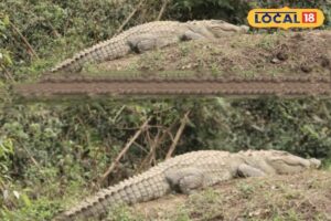 HYP_5775723_cropped_20022026_150940_img_20260220_150743_waterm_2-3x2-1