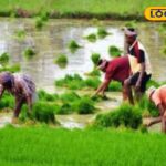 HYP_5775894_cropped_20022026_161710_images_20260220t161144511__2-3x2-1