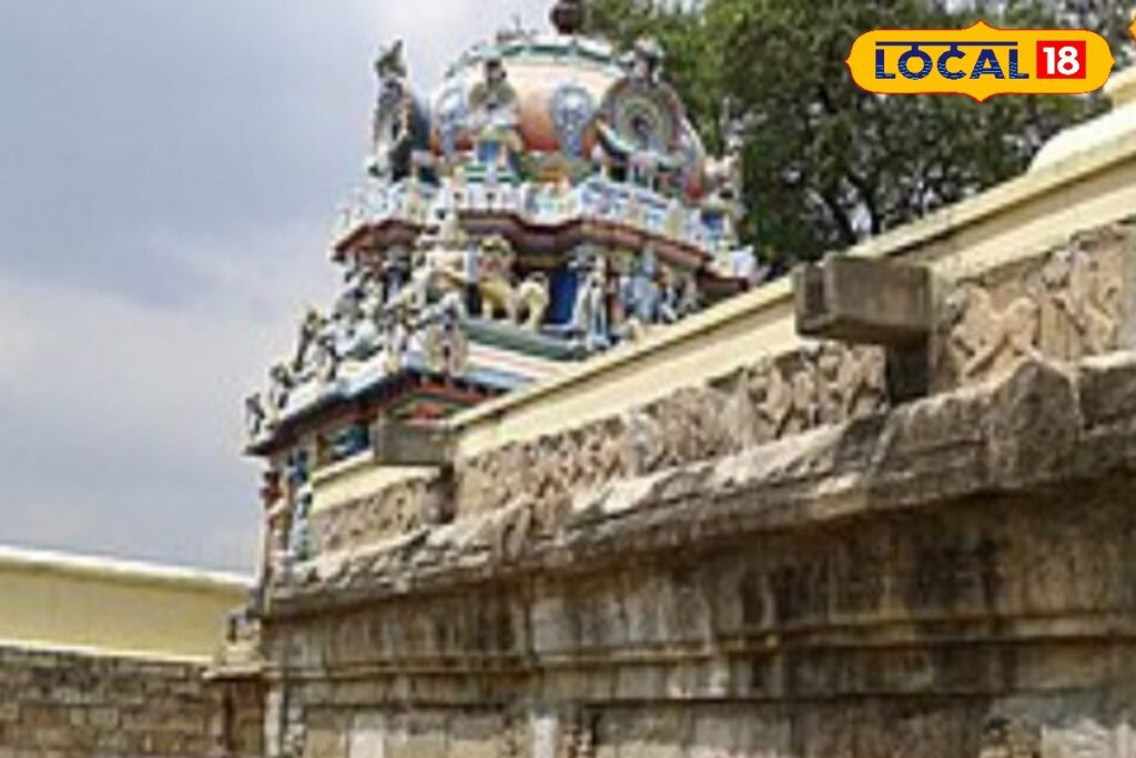 HYP_5777142_cropped_21022026_122716_fa311bea1e6af06002896fb11e_2-3x2-1