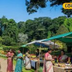 HYP_5784271_cropped_25022026_093427_1771991878647_watermark_25_1-1200x800-1