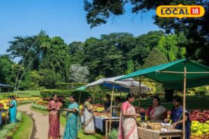 HYP_5784271_cropped_25022026_093427_1771991878647_watermark_25_1-1200x800-1