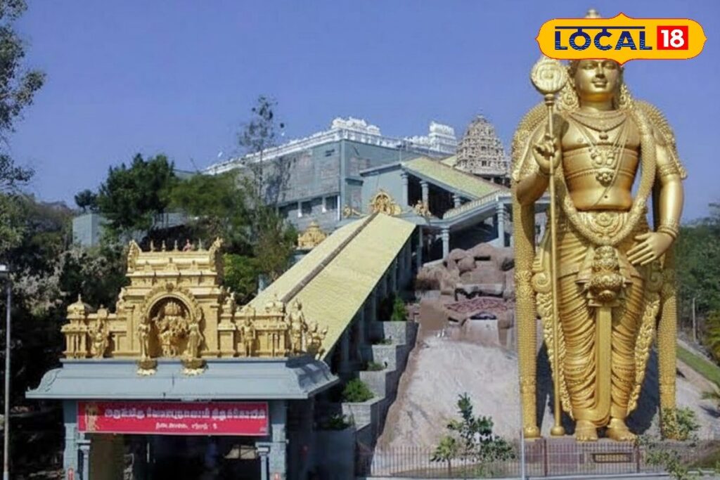 HYP_5784305_cropped_25022026_095505_1771993092094_watermark_25_6-1200x800-1