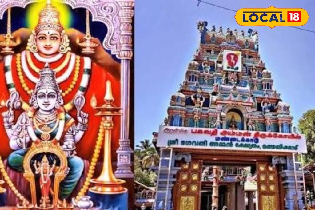 HYP_5785314_cropped_25022026_164843_d15735081405d50b8b8841a9e0_2-1200x800-1