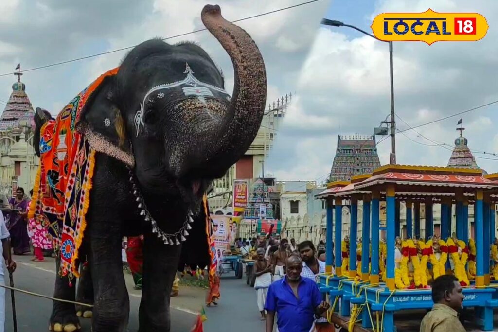 HYP_5787952_cropped_27022026_012901_inshot_20260227_012840358__2-1200x800-1