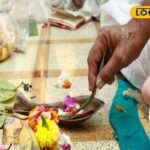 HYP_5790430_cropped_28022026_143544_1689661040_1689574818_sarv_1-1200x800-1