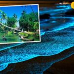 Model-Tourist-Kumbalangi-Village-2026-02-2f078ac859d0958d691ab50b68e0e2f0-3x2-1