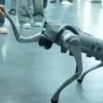 Robot-dog-2026-02-f7eb7fe43fa281209795c0fa064256a0-3x2-1