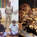 Star-tortoise-2026-02-ce566723a8d06cff1e3899ce850a8621-3x2-1