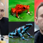 alexeinavalny-1771092095