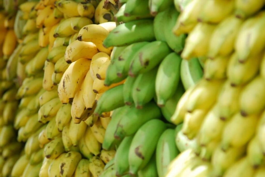 banana-1-2026-02-bf47d3b4d57c2f793b6fb7e682863ded-3x2-1