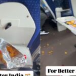 bird-1-2026-02-f5324ddb130d20ac460abc00b2e95bb8-1200x800-1