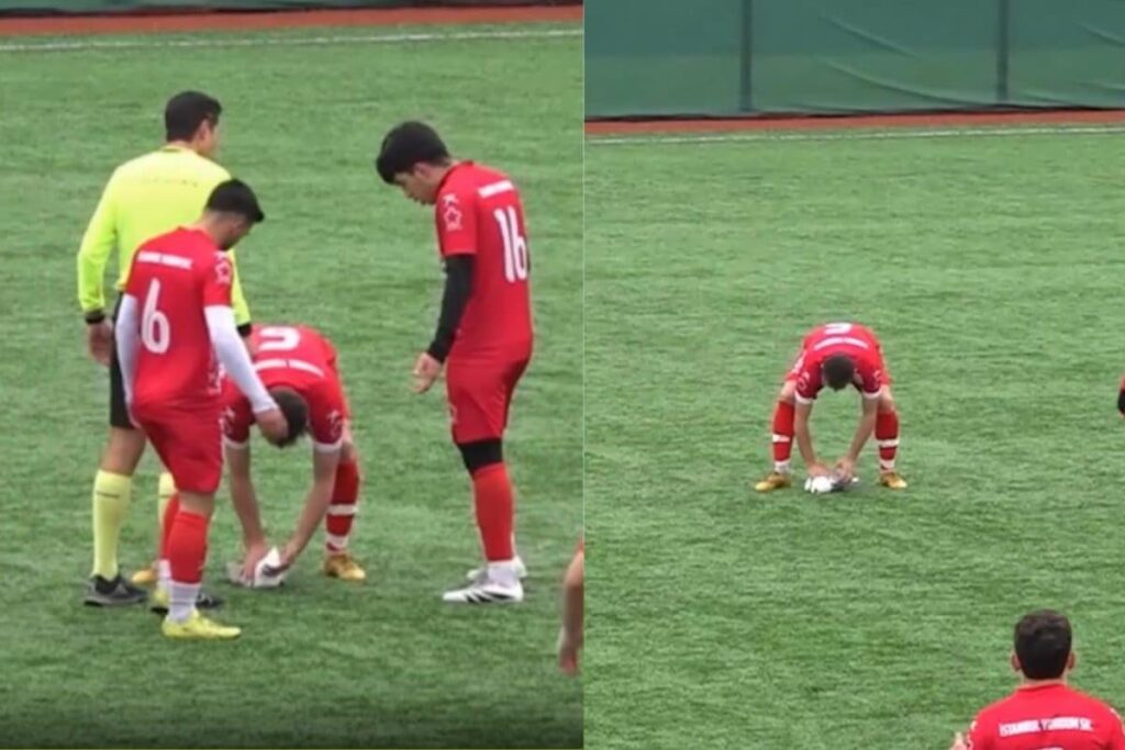 bird-2026-02-f0e31156a53dfdce4dd2af83dc2af213-1200x800-1