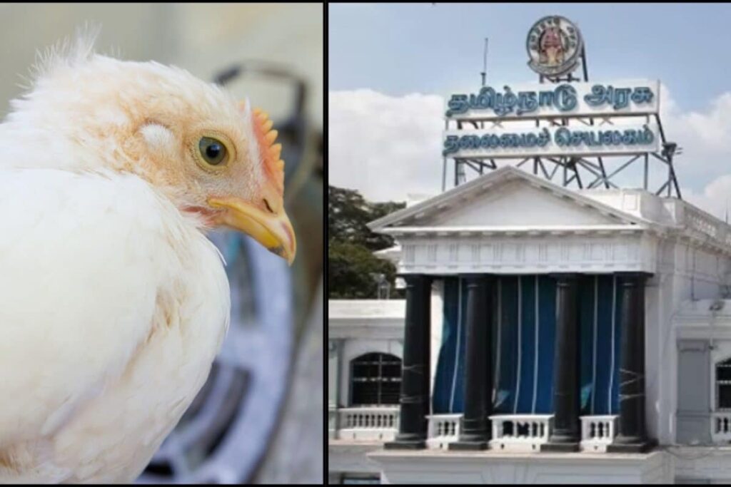 bird-flu-2026-02-0d02f92b3832a68956677586694d4dfd-3x2-1