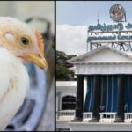 bird-flu-2026-02-0d02f92b3832a68956677586694d4dfd-3x2-1