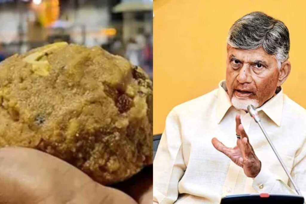 chandrababu-naidu-2026-02-773e9c2e80cda5c5ce9f96df9737dad4-3x2-1