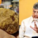 chandrababu-naidu-2026-02-773e9c2e80cda5c5ce9f96df9737dad4-3x2-1