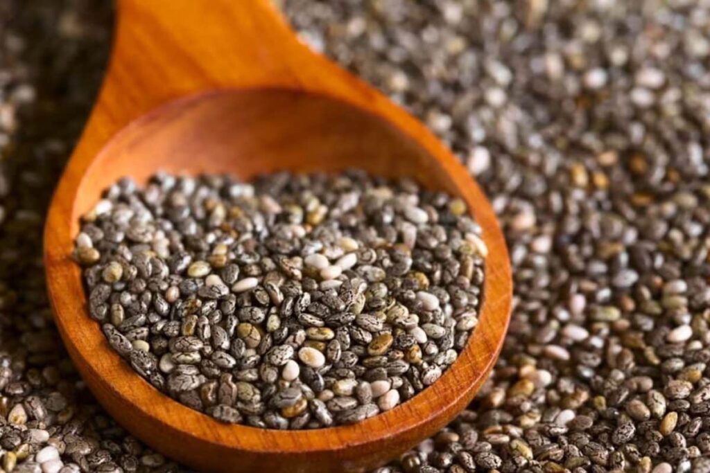 chia-seed-2026-02-647e8caa2a96fa583799b17c533cbfd4-1200x800-1