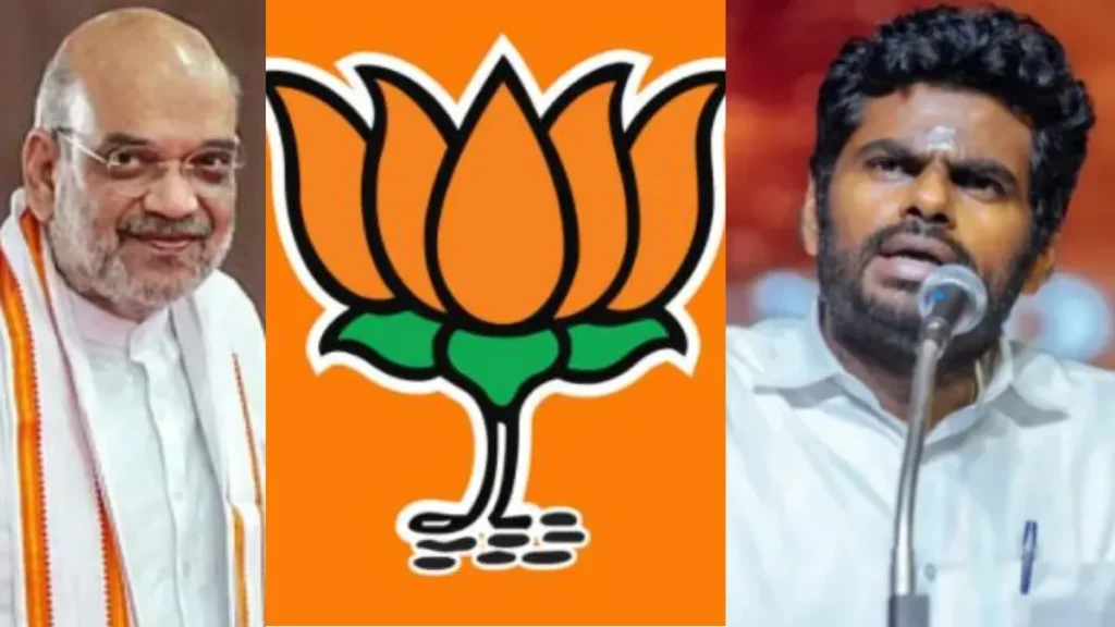 collage-1771035620-1771060477