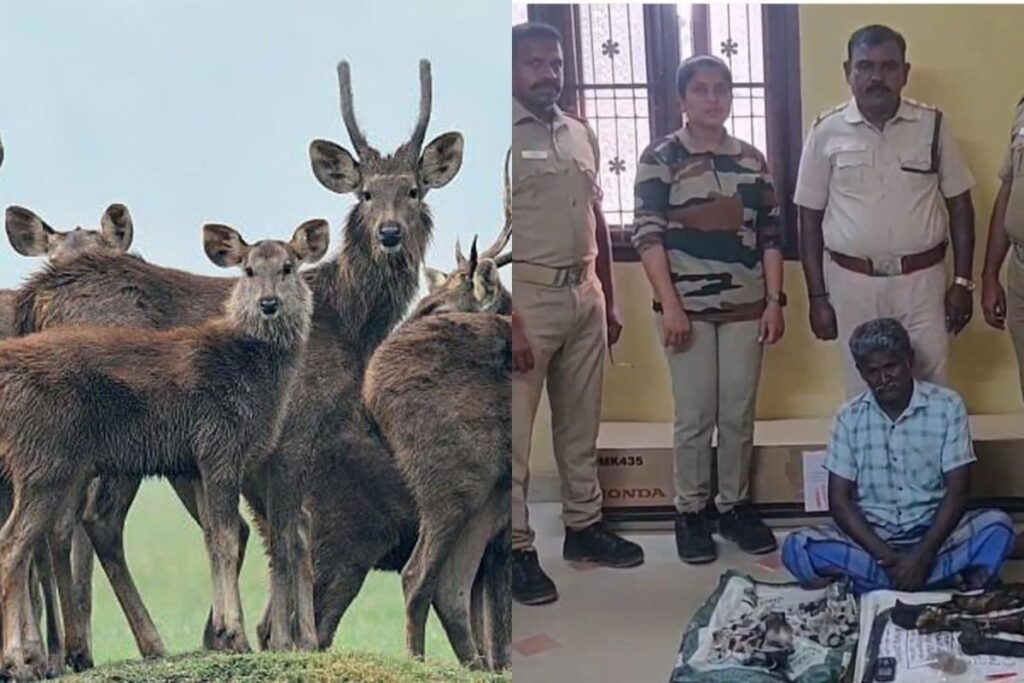 deer-hunt-2026-02-5b5c9640a93f3a3a0d2787ba79dec499-3x2-1