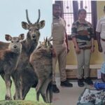 deer-hunt-2026-02-5b5c9640a93f3a3a0d2787ba79dec499-3x2-1