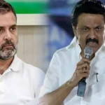 enhanced-image-1771590609