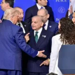 enhanced-image12-1771584789