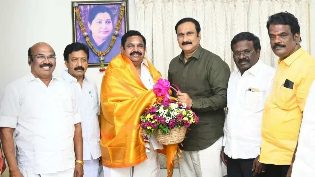 enhanced-image21-1771936638