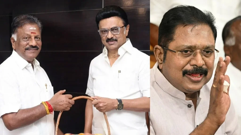 enhanced-image24-1771765516