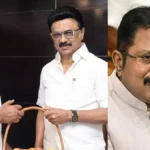 enhanced-image24-1771765516