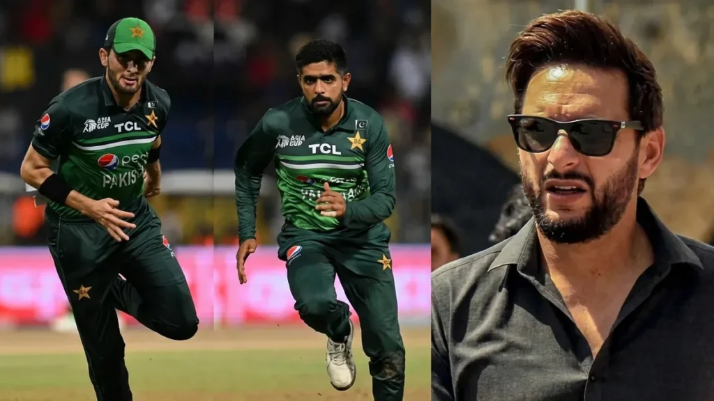 enhanced-image31-1771244178