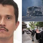 enhanced-image65-1771826480