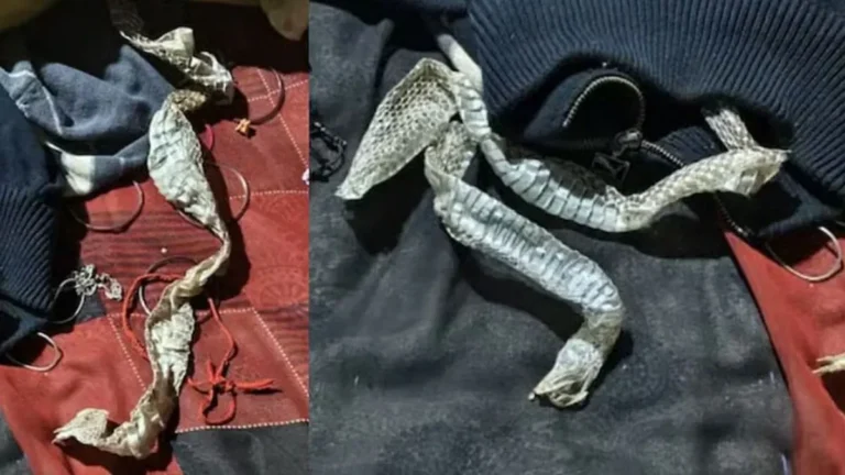 february26-jpg-1770822664250_1770822665638-1200x675-1