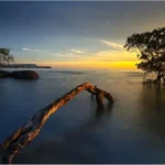 image-1-2026-02-22t124530-816-jpg-1771744597886_1771744598305-1200x675-1