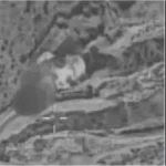 image-1-2026-02-28t191507-187-jpg-1772286333420_1772286335160-1200x675-1