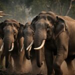 image-2026-02-5c36c6a05627014d26710923ddd3f392-3x2-1