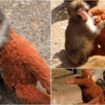 image1-2026-02-20t141831-588-1771577328