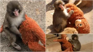 image1-2026-02-20t141831-588-1771577328