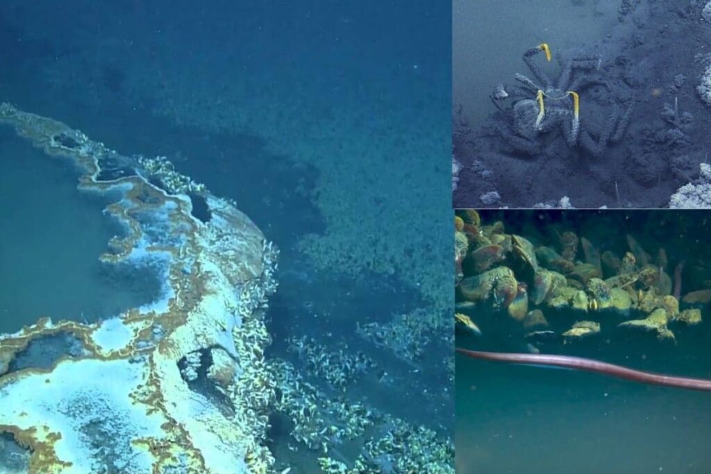 images-2026-02-26T201845.284-2026-02-99e112edb23e3ee5161e3af18dfbe1eb-1200x800-1