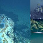 images-2026-02-26T201845.284-2026-02-99e112edb23e3ee5161e3af18dfbe1eb-1200x800-1