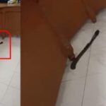 juidege-2026-02-7da6373213714ff11b4d6f1c17d9432a-3x2-1