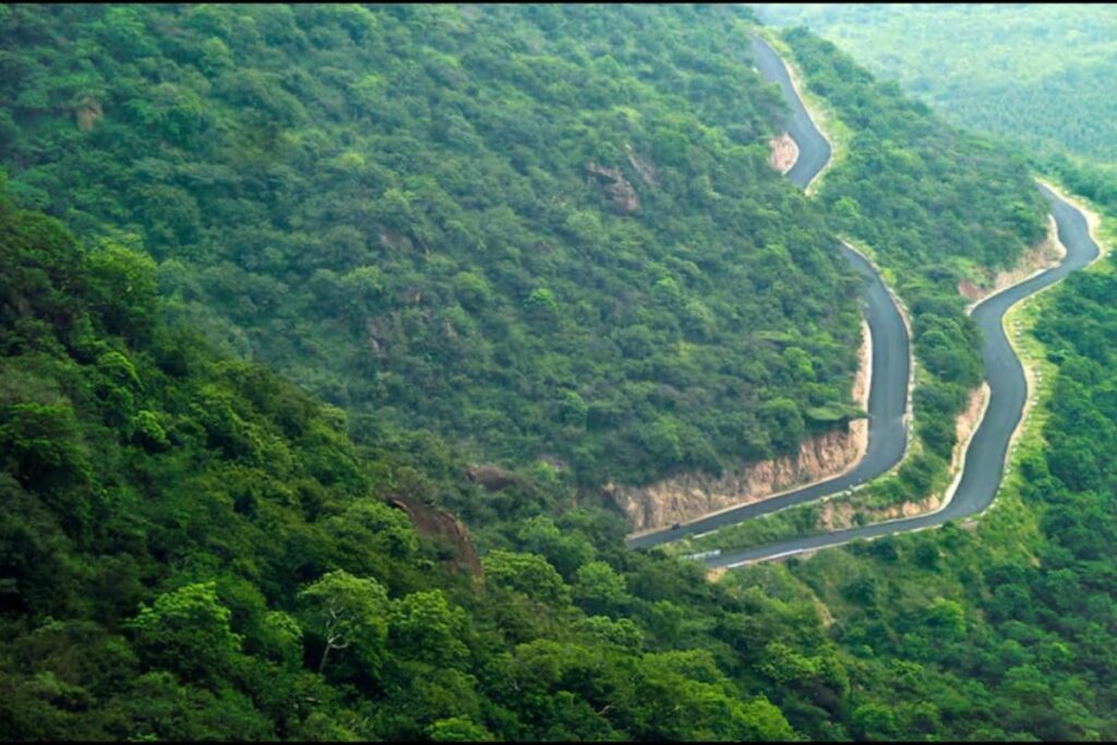 kodaikanal-2026-02-16f66b75af61c6fd664d74171d8ec02f-3x2-1