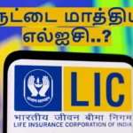 lic1-1771404442