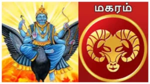 magaramfea-1771673406