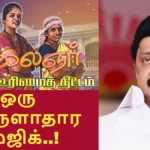 maglirurmai3-1770963621