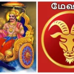 meshamfea-1771586528