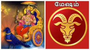 meshamfea-1771586528