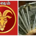 meshamfea-1771921639