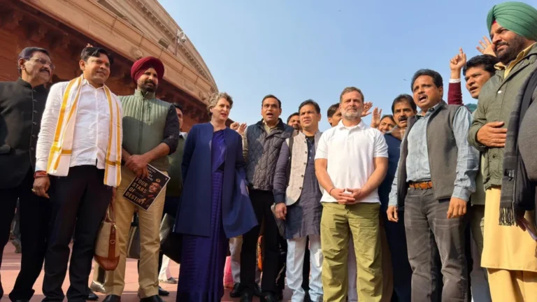 newproject7-1770127093