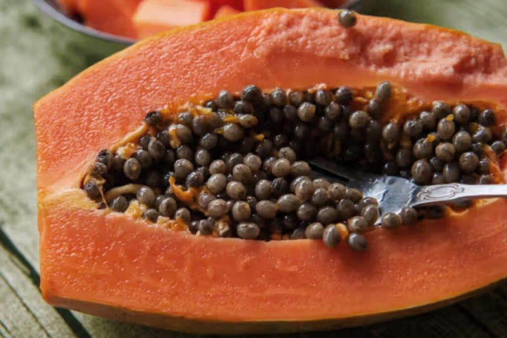 papaya-2026-02-ccc48f67cfbcb243de82c124e9ca0c03-1200x800-1