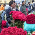 pti02-14-2026-000100b-jpg-1771055493413_1771055522300-1200x675-1